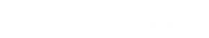 salomon